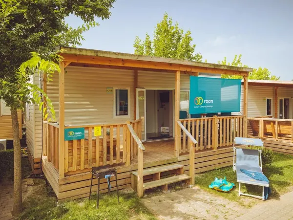 Il Roan Premium relax.