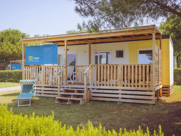 La Comfort Plus Lounge di Roan.