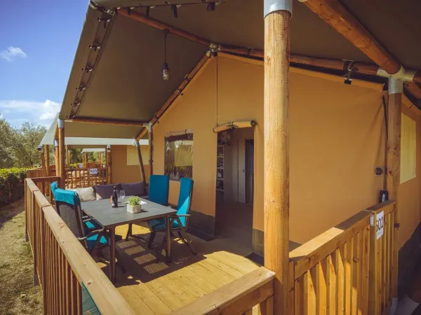 Primavera Lodgetent 2