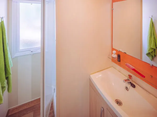 Bagno del Roan Comfort Plus Lounge con doccia e lavandino.