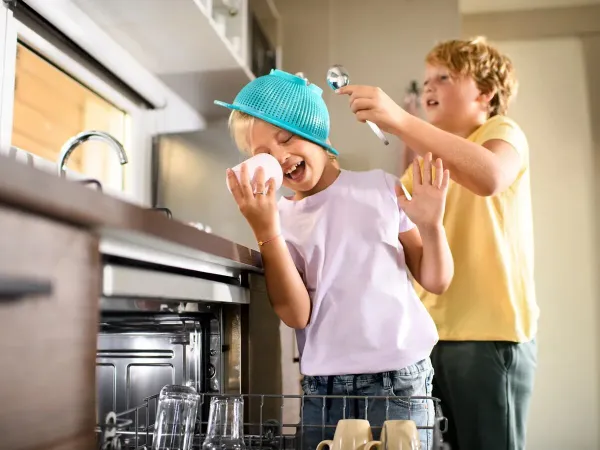 Il Roan Comfort Plus Relax dispone di una lavastoviglie.