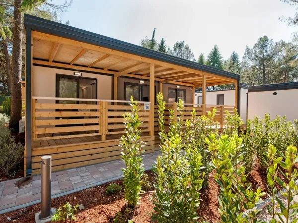 Il Roan Comfort Plus Lounge.