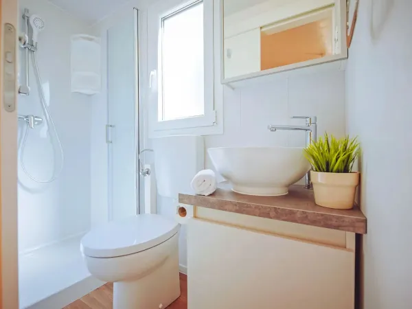 Bagno della Roan Comfort Plus Lounge con toilette.