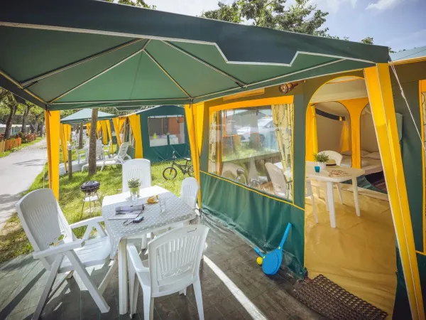Tenda standard 2