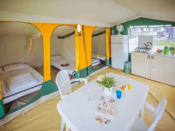 Tenda standard 3