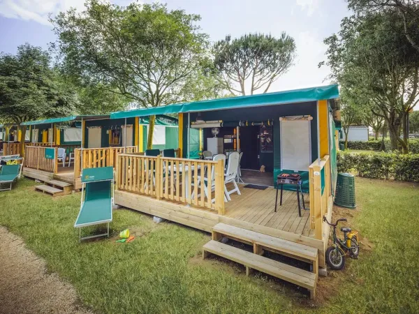 tente-lodge-woody 1