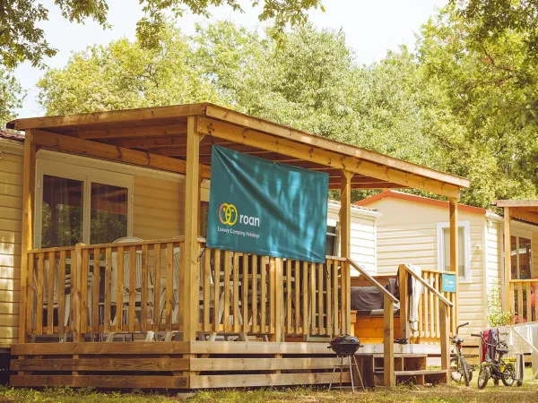 Il Roan Premium Lounge Compact.