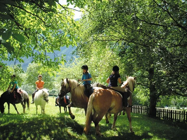 Equitazione in zona presso il Roan camping Bella Austria.