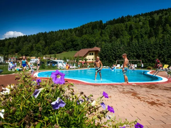 Panoramica della piscina del campeggio Roan Bella Austria.
