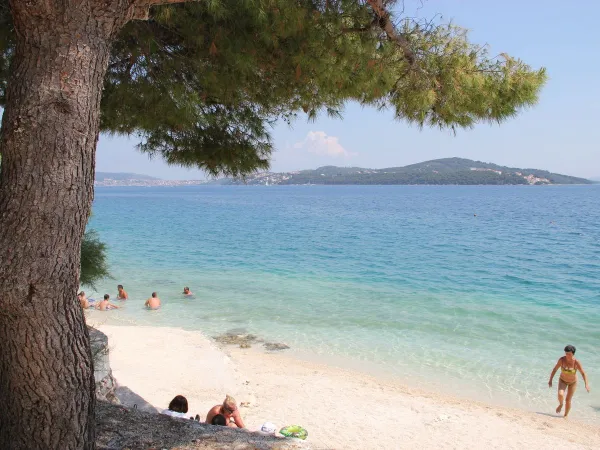 Spiaggia e mare al campeggio Roan Amadria Park Trogir.