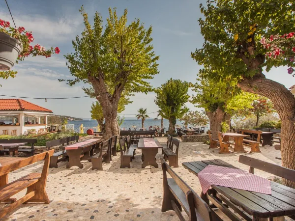 Terrazza d'atmosfera al campeggio Roan Amadria Park Trogir.