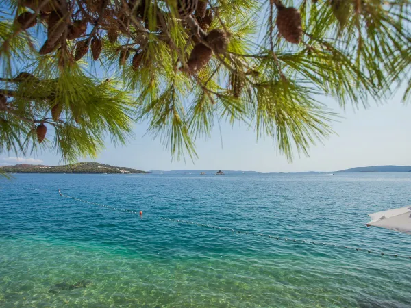 Mare azzurro al campeggio Roan Amadria Park Trogir.