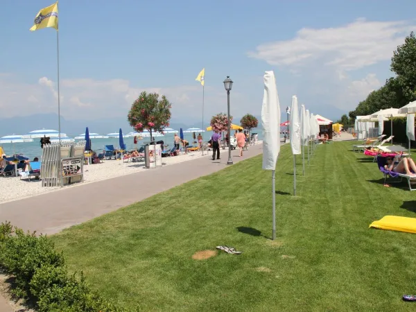 Spiaggia erbosa del Roan Camping Butterfly.