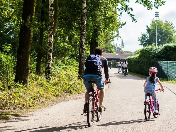 Uomo e bambino in bicicletta al campeggio Roan De Schatberg.