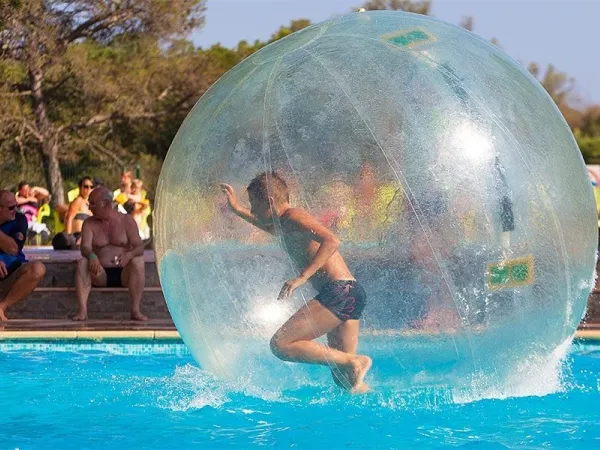 Attività di water ball al campeggio Roan La Pierre Verte.