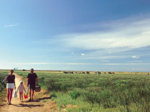 Famiglia a passeggio fuori dal campeggio Roan Les Sablines.