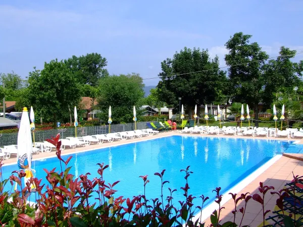 Panoramica della piscina del campeggio Roan Okay Lido.