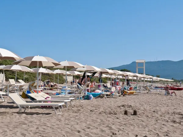 Spiaggia accogliente al campeggio Orbetello.