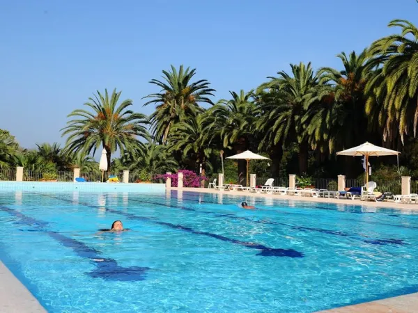 Nuoto in corsia al campeggio Roan di Rosselba.