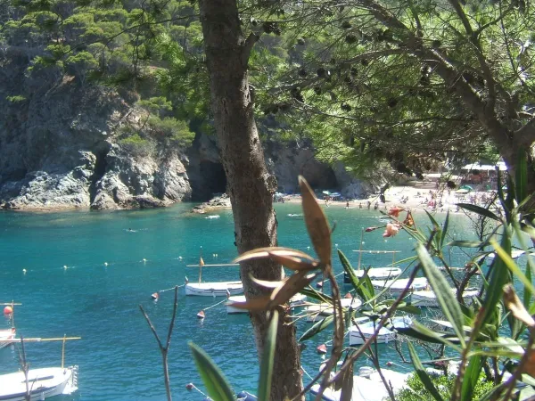 Piccola spiaggia di scogli vicino al campeggio Roan Playa Brava.