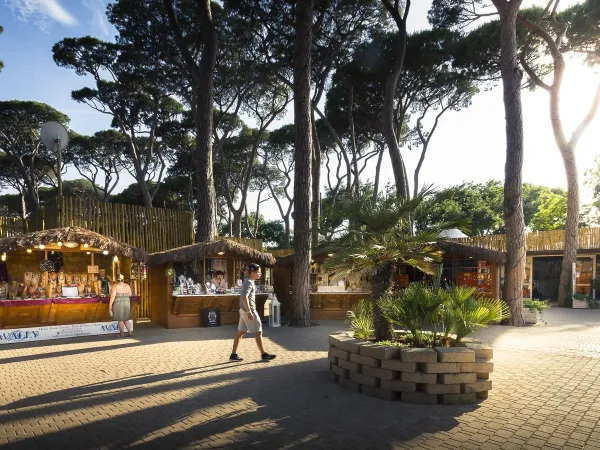 Bancarelle al Roan camping hu Park Albatros village.