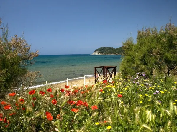 Spiaggia e mare vicino al Roan camping Park Albatros.