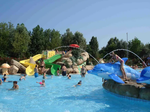 Divertimento in piscina al Roan camping Marina Di Venezia.