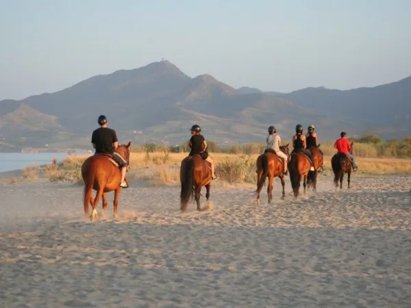 Equitazione vicino al campeggio Roan La Sirène.