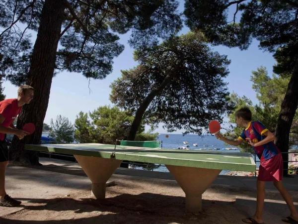 Tennis da tavolo al campeggio Roan Cikat.