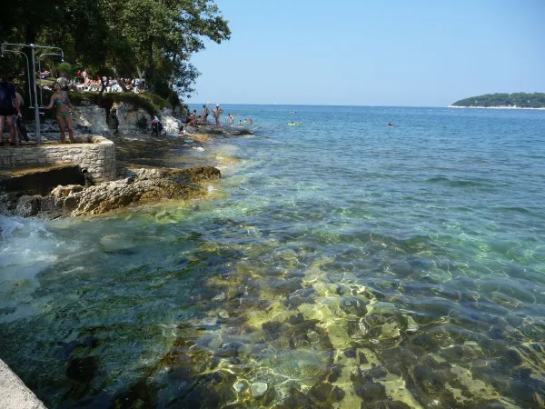 Acqua limpida del mare al campeggio Roan Zelena Laguna.