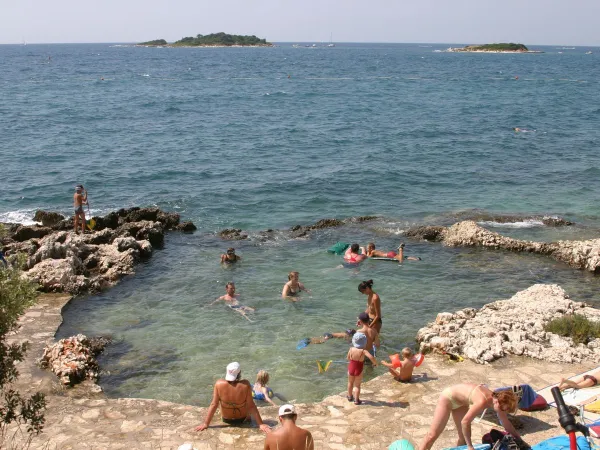 La costa del campeggio Roan Zelena Laguna.