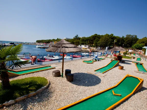 Campo da minigolf al campeggio Roan Zelena Laguna.