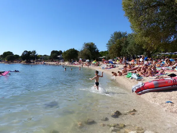 Spiaggia animata del campeggio Roan Polari.