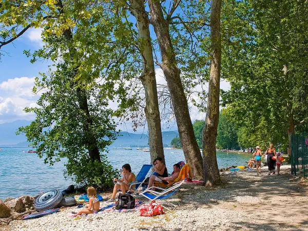 Rilassatevi sul lago di Garda al campeggio Roan di Cisano San Vito.