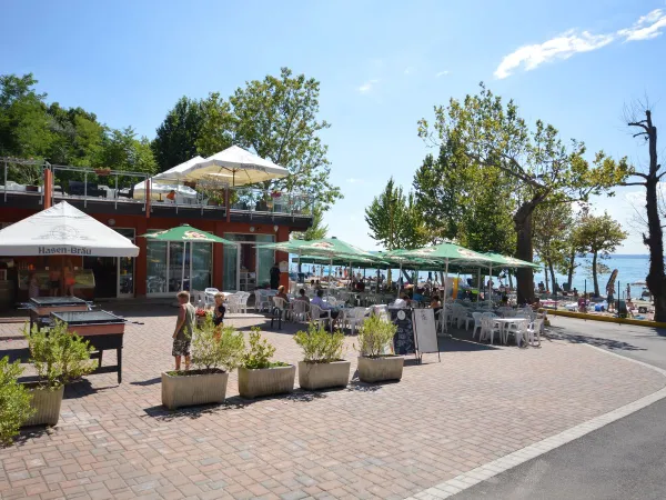 Terrazza del campeggio Roan di Cisano San Vito.