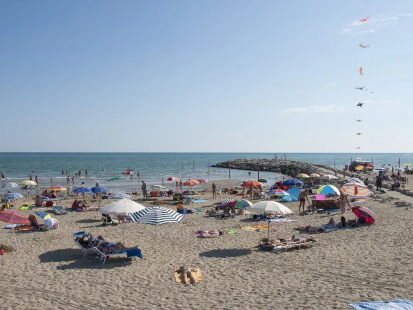 Spiaggia vivace vicino al campeggio roan Sant Angelo.