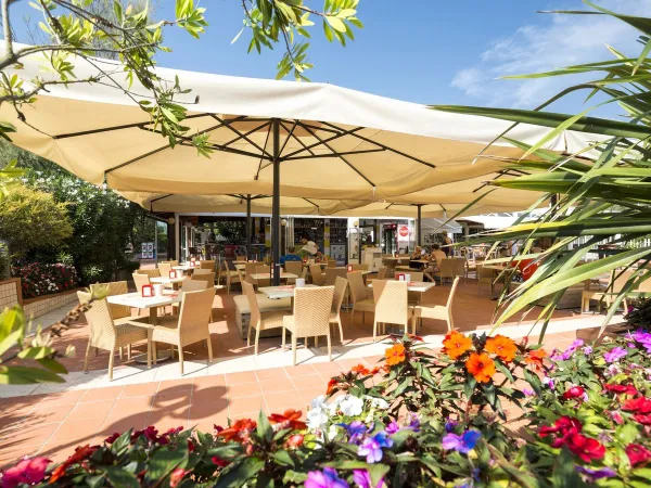 La terrazza del campeggio Roan Sant Angelo.