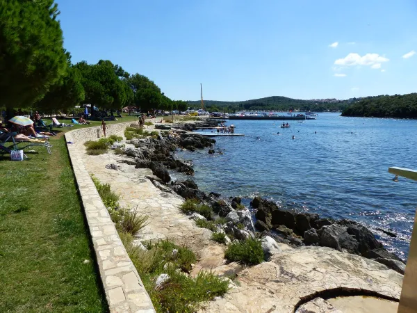 Prato erboso per prendere il sole in riva al mare al Roan camping Valkanela.