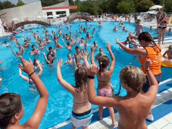 Animazione in piscina al Roan camping Vestar.