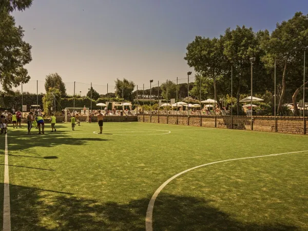 Campo da calcio presso il campeggio Roan Fabulous.