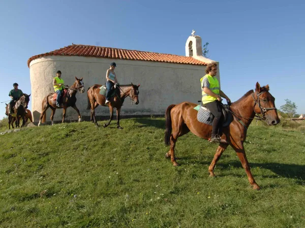 Equitazione al campeggio Roan di Zaton Holiday Resort.