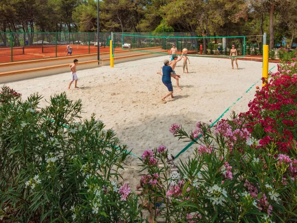 Giocare a pallavolo al campeggio Roan Lanterna.