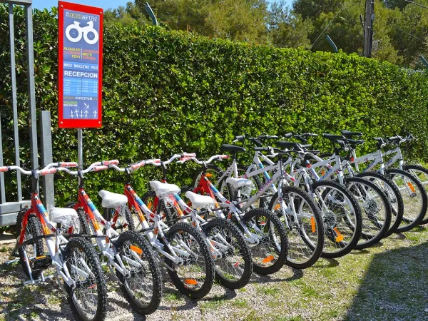 Noleggio biciclette presso il campeggio Roan El Garrofer.