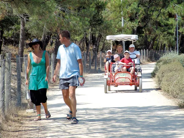 Noleggio di biciclette per famiglie al campeggio Roan Le Domaine du Clarys.