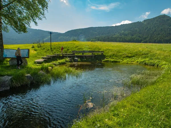 Ambiente verde al campeggio Roan di Bella Austria.