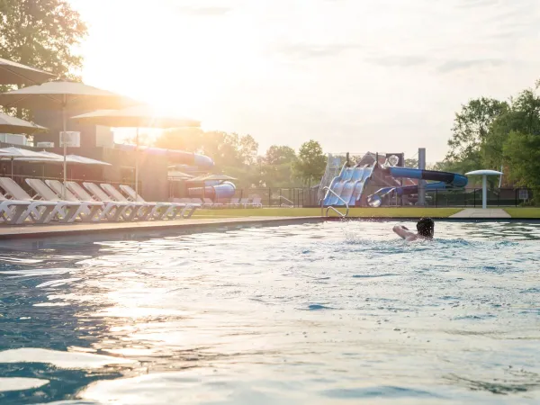 Piscina riscaldata all'aperto al Roan camping De Twee Bruggen.