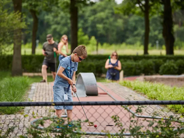 Minigolf al campeggio Roan Terspegelt.