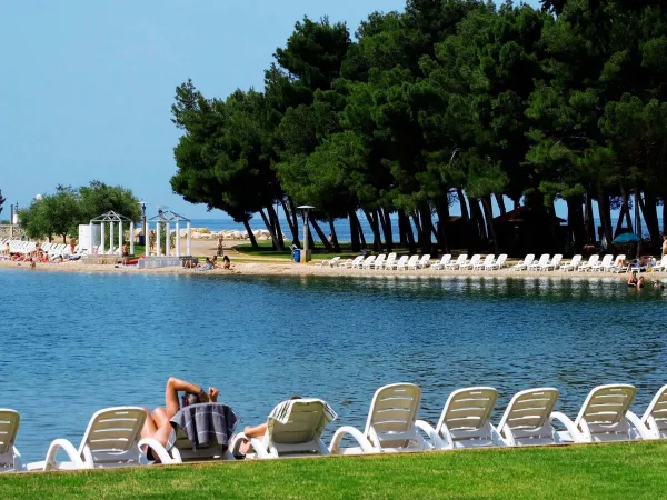 Lettini in spiaggia vicino al campeggio Roan Stella Maris.