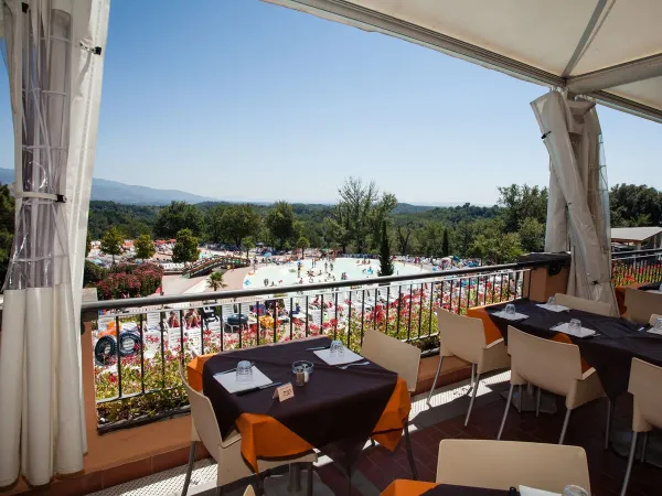 Vista sulla piscina dal balcone del ristorante del Roan camping Norcenni Girasole.