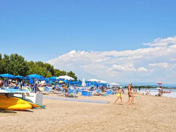 Spiaggia vicino al campeggio Villaggio Turistico Roan.